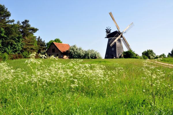Die Holländer Windmühle auf Usedom