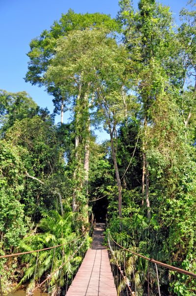 Im Nationalpark Khao Yai