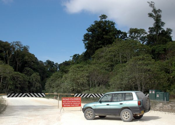 Straße gesperrt, Krabbengefahr auf Christmas Island