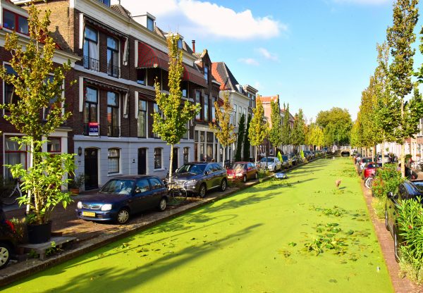 Ein Kanal in Delft