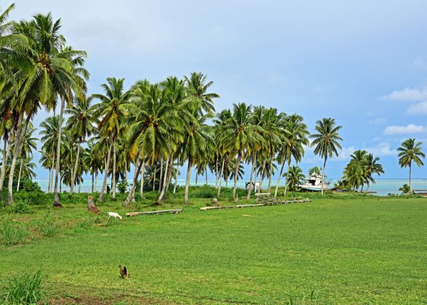 Idylle in Aitutaki / Cook Inseln