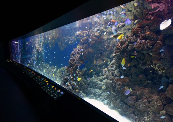 Blue Planet Aquarium / Kopenhagen