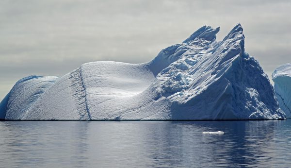 Eisberge auf dem Weg von Qaqortoq nach Uunartoq