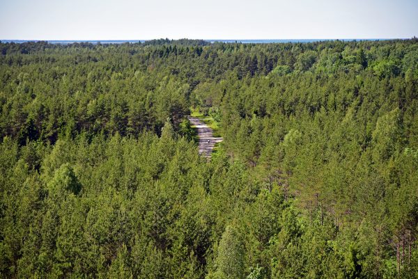 Naturschutzgebiet Viidumäe / Estland