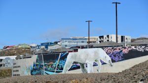 Ein Eisbär in Iqaluit