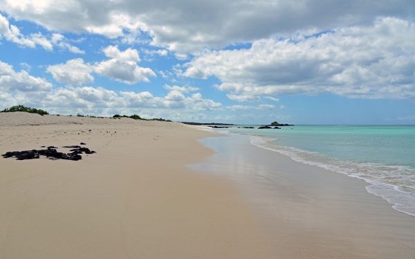 Traumstrand auf den Galapagos Inseln
