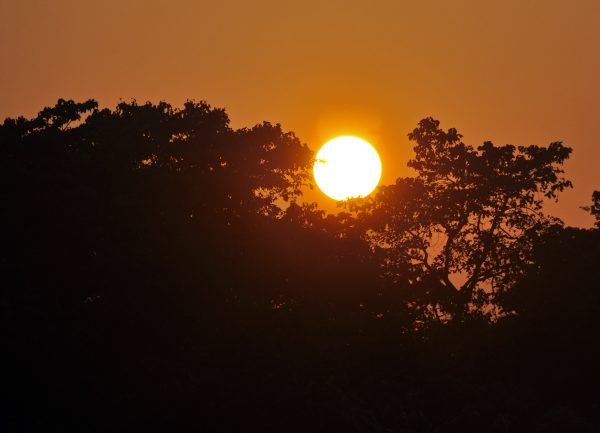 Sonnenuntergang im Chitwan Nationalpark