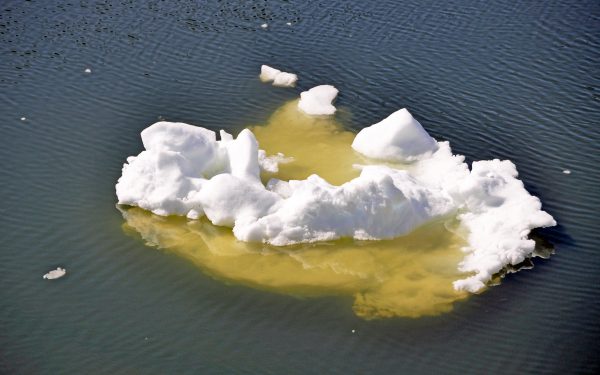 Der Icefjord von Ilulissat