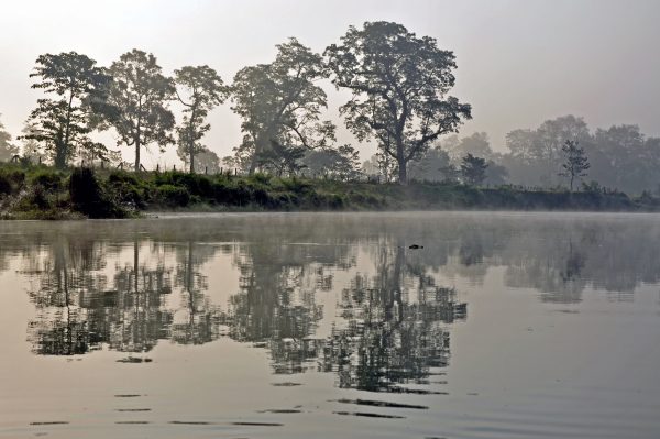 Im Chitwan Nationalpark