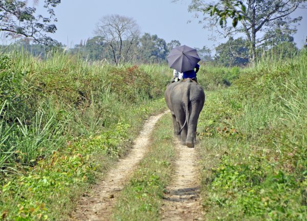 Im Chitwan Nationalpark