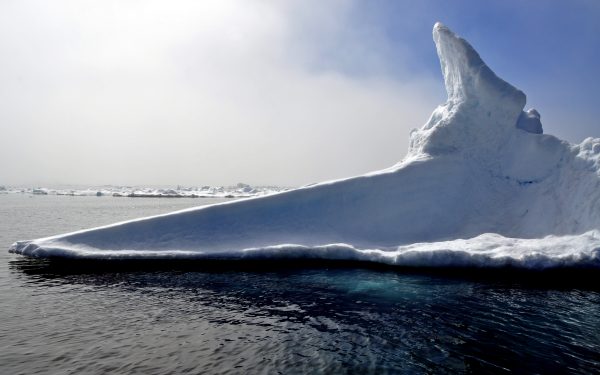Eisberg-Watching im Osten von Grönland