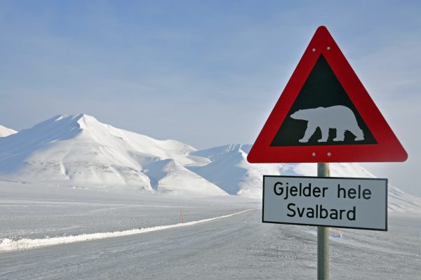Warnung vor dem Eisbären, Spitzbergen