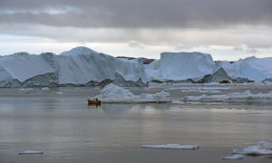 Reisebericht: Verrückt: Eine arktische Achterbahnfahrt der Gefühle in Grönland