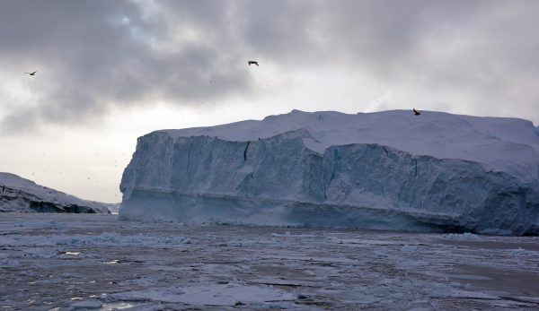 Eine Bootsfahrt zum Eis-Fjord von Ilulissat