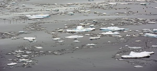 Eismeer in Spitzbergen