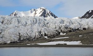 Galerie: Spitzbergen: Die Gletscher