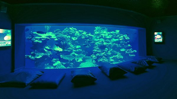 Sitzplätze im Palma Aquarium auf Mallorca