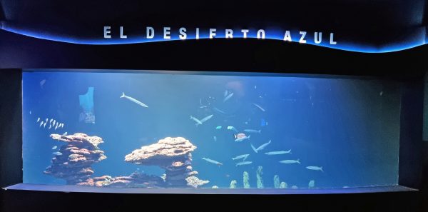 Die „Blaue Wüste“ im Palma Aquarium auf Mallorca