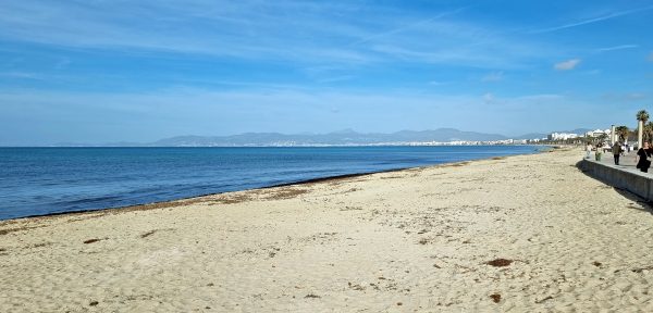 Der Strand von Arenal auf Mallorca