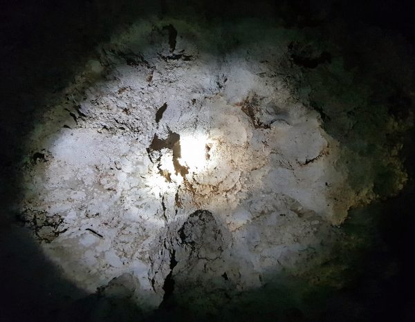 In einer Höhle in Cayman Brac