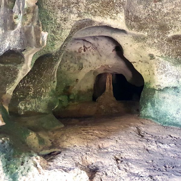 In einer Höhle, Cayman Brac