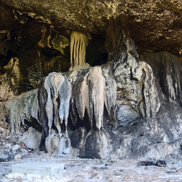 In einer Höhle, Cayman Brac