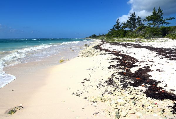 Ein Strand auf Cayman Brac