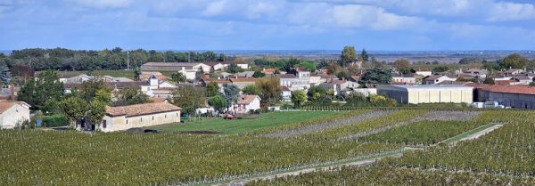 Blick auf das Weingut Château Gruaud-Larose