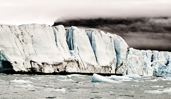 Coole Eisberge in der Croker Bay