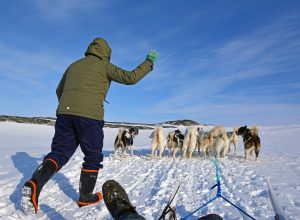 Reisebericht: Eine arktische Wintersaga, oder Schneechaos und Hundekälte: Grönland im März