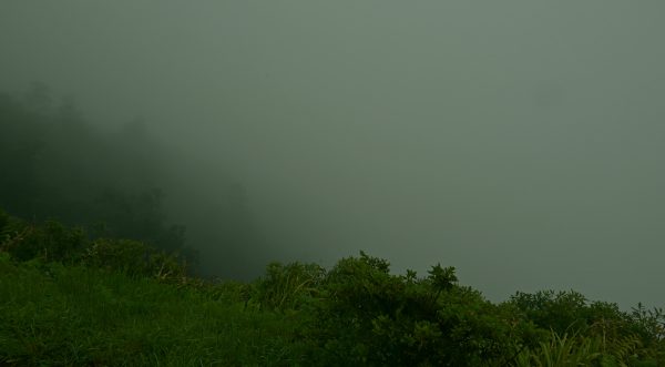 Blick auf den Nebel von Flores