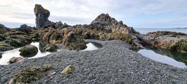 Lavafelsen am Strand von Djúpalónssandur