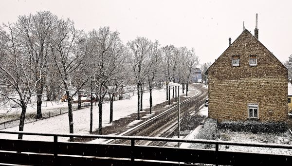 Schnee in Hochheim am Main im November