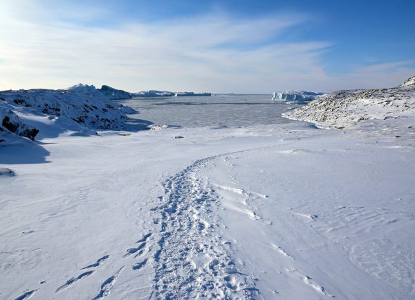 Der Eis-Fjord von Ilulissat