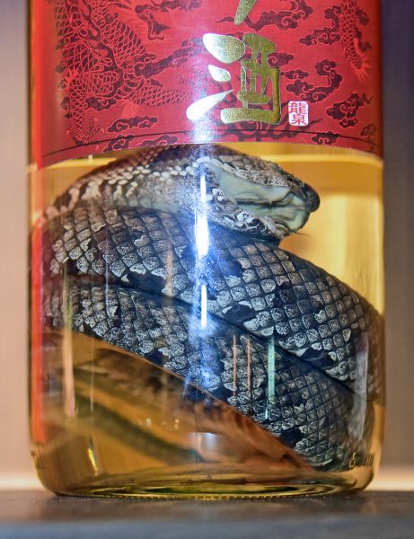 Schlangen-Schnaps in Okinawa in Japan