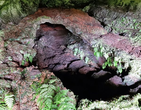 Die Höhle Furna da Frei Matias auf Pico