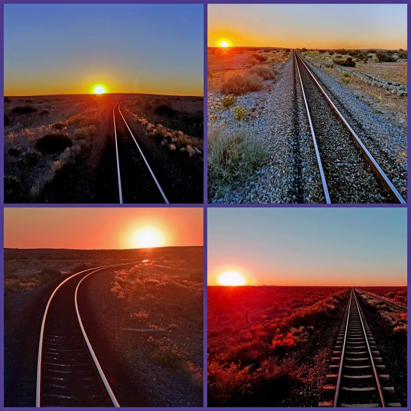 Gute Nacht Rovos Rail und Südafrika!