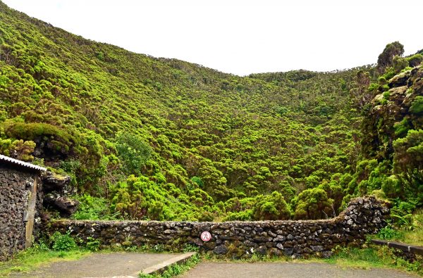 Die Umgebung der Vulkanhöhle Algar do Carvão auf Terceira