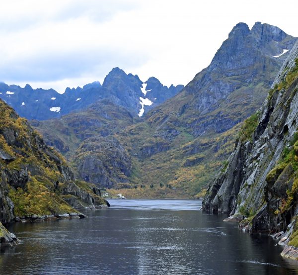 Blick auf den Trollfjord